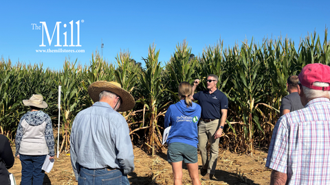 Not All Nitrogen Stabilizers Are Created Equal: Insights from The Mill’s 2025 Crop Showcase