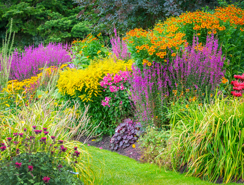 Perennial garden