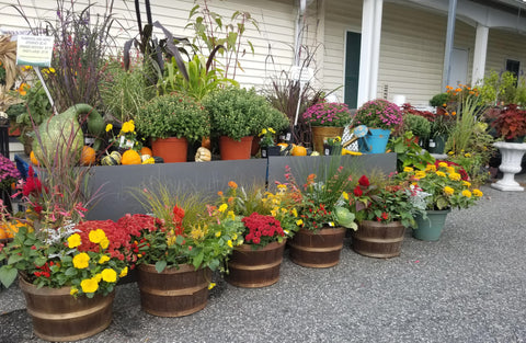 Mixed planters