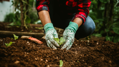 Small Changes That Make a Big Impact on Your Soil
