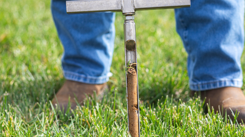 The Importance of Soil Health: A Guide to Testing and Improvement