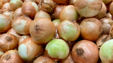 Onion Sets and Starts: Heavy Feeders with Big Rewards