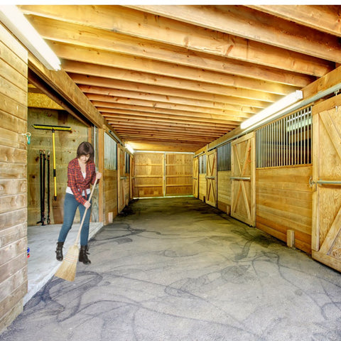 woman sweeping a clean horse barn