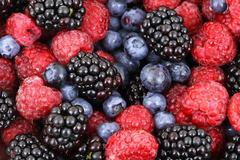 Bountiful Berry  Bushes