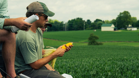 A man in a green mill hat holding corn on the cob with a green farm field in the background