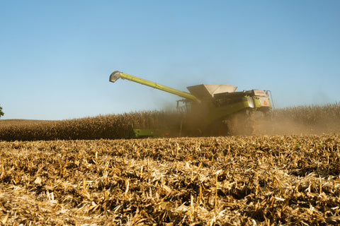 Corn Harvest Update: Strong Yields Roll In as Rain Pauses Combines in Maryland | The Mill