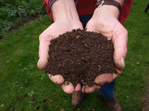 Hands holding fresh composted material
