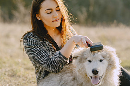 Pet Grooming