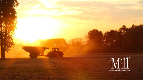 Harvest 2025 Nears Completion: Warm Weather Extends Fall Fieldwork