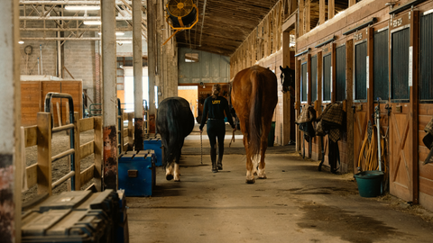 Does My Horse Need a Fat Supplement?