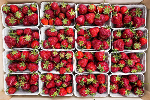 Strawberry Plants Available at the Mill for 2022