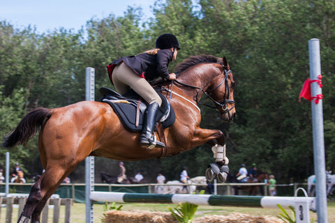 hunter jumping a horse over a fence
