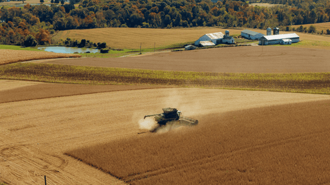 Harvest Hits 50% in Maryland as Storage Fills and Soybean Quality Issues Emerge | The Mill