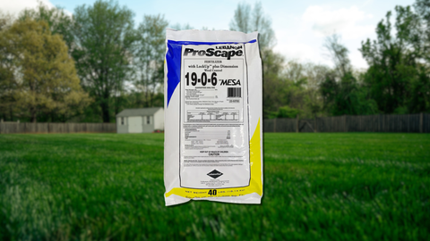 Step 2 of The Mill's Lawn Care Program: What It Does and When to Apply It