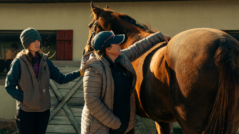 Improving Body Condition in Horses: Strategies for Safe, Steady Gain