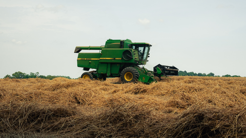 Wheat Harvest Wraps Up in Maryland as Double Crop Soybeans Hit the Ground | The Mill