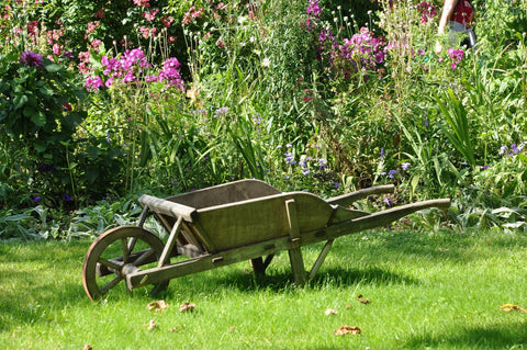 Humic Acid for Soil and Plant Health