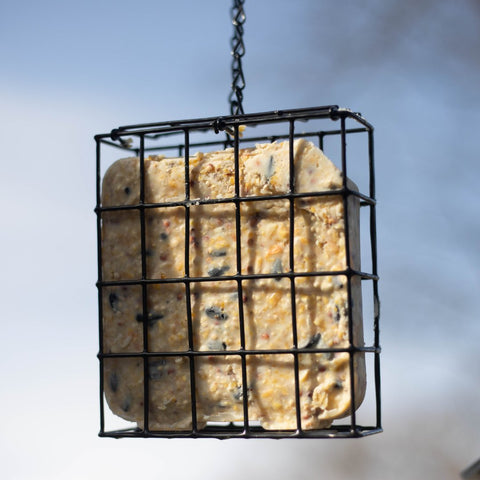 Suet Feeder and Suet Cake Hanging