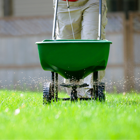 Lawn fertilizer with spreader