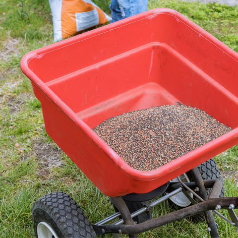 Red push spreader with fertilizer