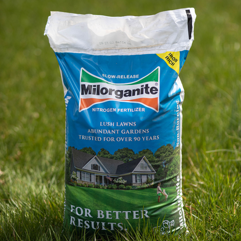 Milorganite in a lawn