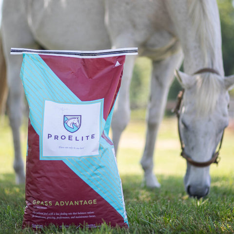 Bag of horse feed with a horse grazing in the background