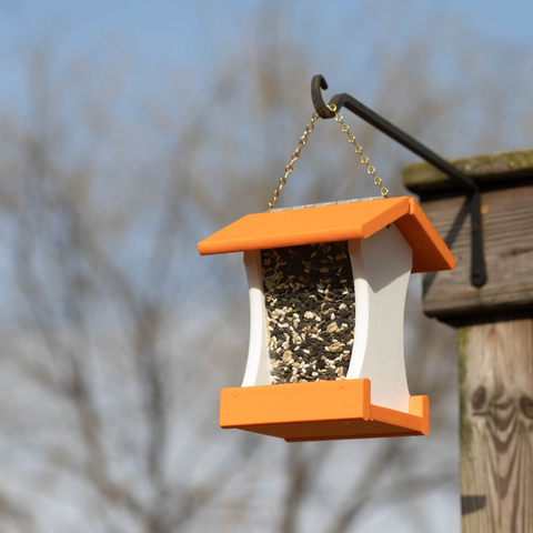 Illustration of Backyard Bird Equipment And Accessories