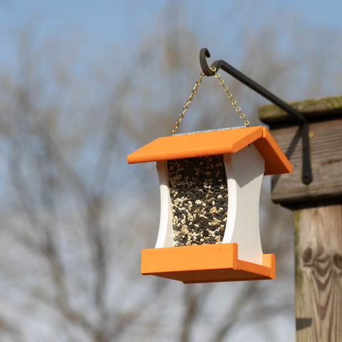 Bird Feeder