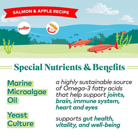 Honest to Goodness Protein Bites Salmon & Apple Dog Treats 
