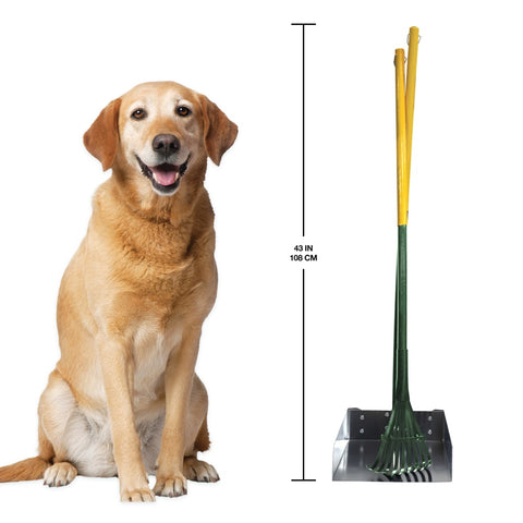 Dog Rake & Scooper Set for Pet Waste Pick-Up – Large