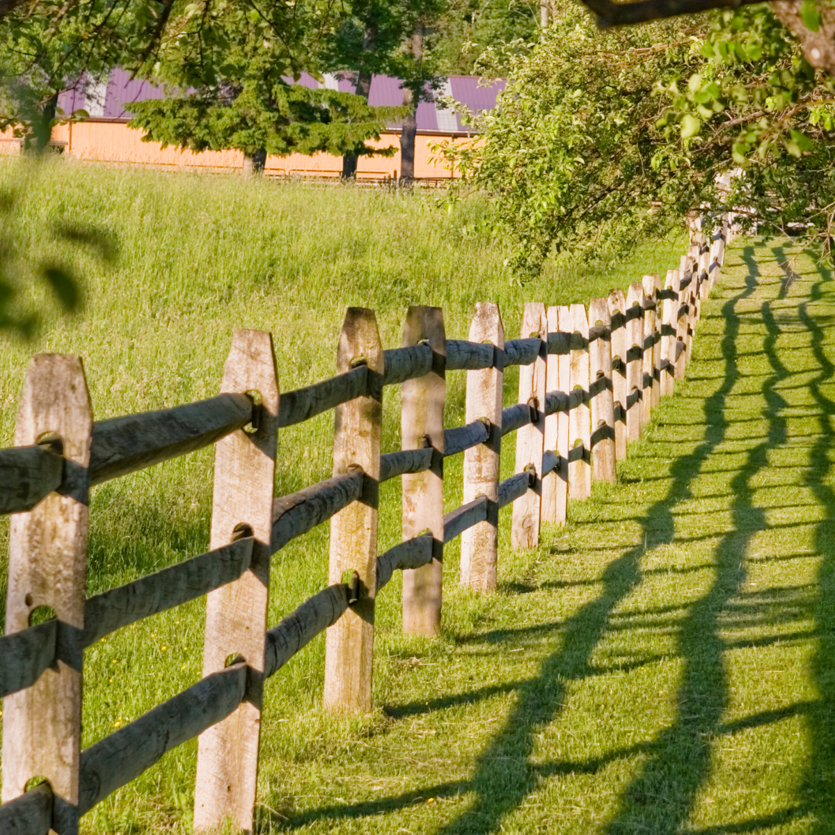 7 ft. Pressure Treated Wood Split Rail 3-Hole Line Post | The Mill