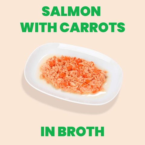 Almo HQS Natural Salmon with Carrots in Broth Canned Cat Food