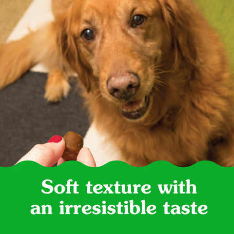 Greenies Pill Pockets for Dogs – Hickory Smoke Flavor, Large Capsule Size (60 Treats, 15.8 oz)