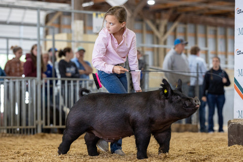 A girl with a show pig in the ring with spectators blurred in the background
