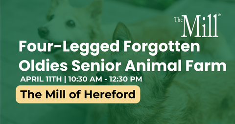 Promotional flyer for 'Four-Legged Forgotten Oldies Senior Animal Farm' event at The Mill of Hereford with blurred background of animals.