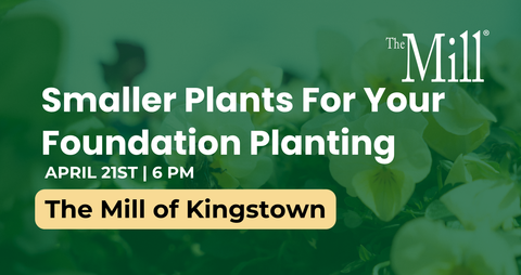 Promotional banner for 'Smaller Plants For Your Foundation Planting' event at The Mill of Kingstown with a blurred plant background.