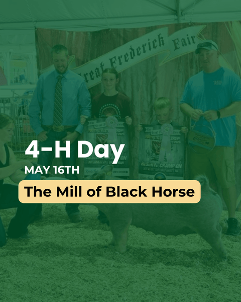4-H Day event at The Mill of Black Horse with people and a pig, featuring a banner in the background.