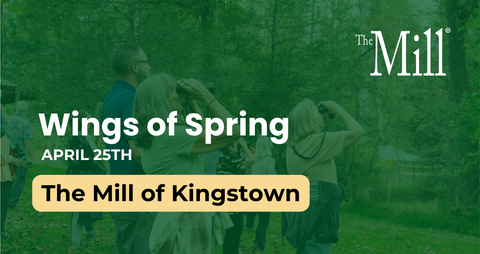 Promotional graphic for 'Wings of Spring' event at The Mill of Kingstown with people in a park.