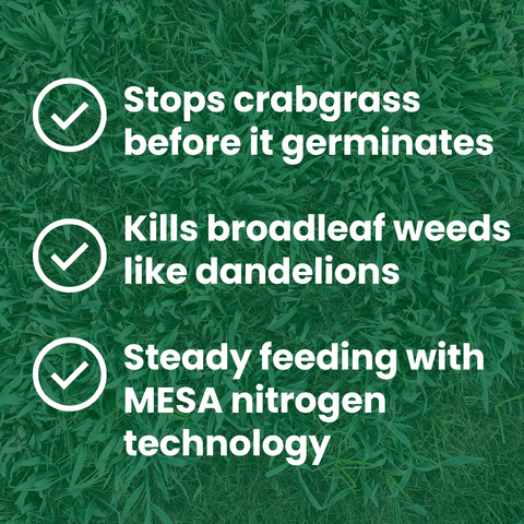 LebanonTurf Turf Fertilizer 19-0-6 in 40lb bag with LockUp and .17 Dimension label, designed for healthy lawn growth