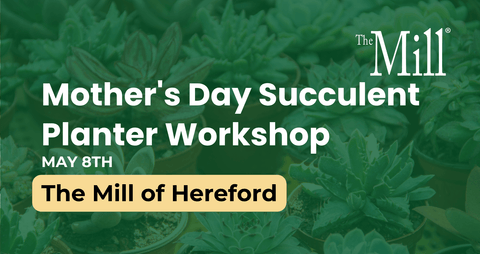 Promotional graphic for Mother's Day succulent planter workshop at The Mill of Hereford with green succulents in the background.