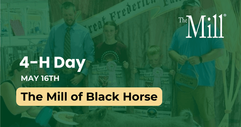 Promotional image for 4-H Day at The Mill of Black Horse with people and trophies.