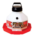 Little Giant 3-gallon plastic poultry waterer by Miller Manufacture Company, showing the waterer with lid and spout for chickens.