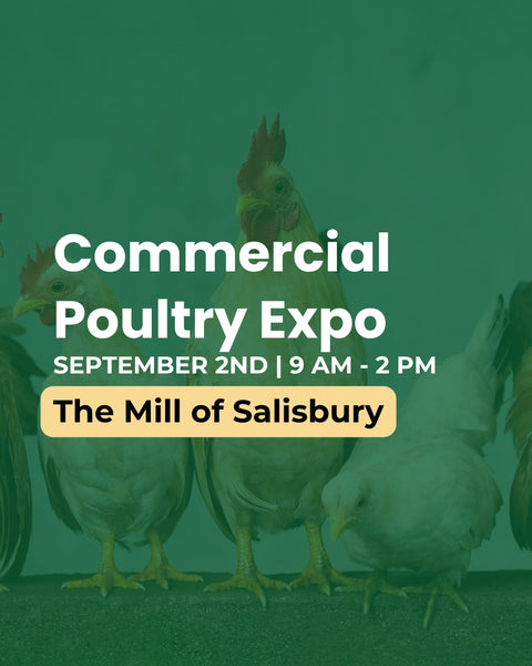 A promotional flyer for the commercial poultry expo at the mill of salisbury with chicken in the background