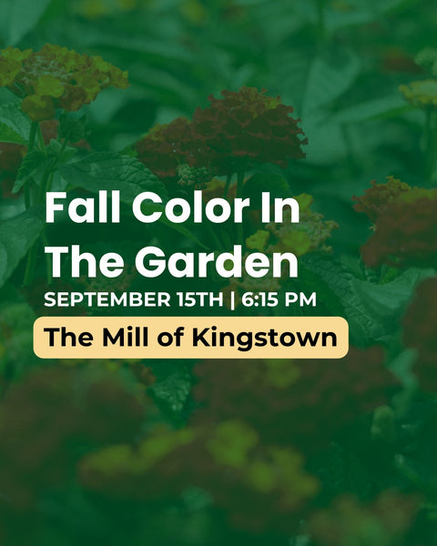 Promotional graphic for an outdoor event titled 'Fall Color In The Garden' on September 15th at 6:15 PM, held at The Mill of Kingstown. The design features a dark green overlay over a background of blooming garden flowers, primarily yellow and orange-red.