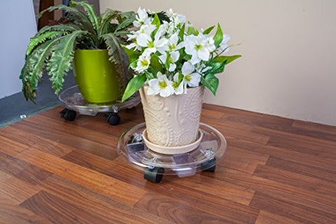 Potted plant on a clear plastic stand with a beige pot on a wooden floor.