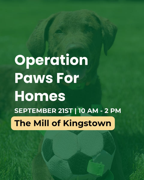 Promotional graphic for 'Operation Paws For Homes' by The Mill, featuring a green-tinted photo of a dog with event details: September 21st at 10 AM - 2 PM, and 'The Mill of Kingstown' in a yellow box.
