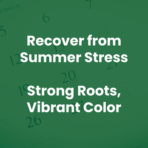 The Mill 22-0-14 lawn fertilizer with 50% SCU and 5% iron, showing the fertilizer granules in a container.