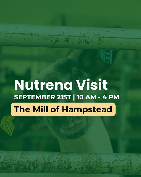 Promotional graphic for a Nutrena Visit at The Mill of Hampstead, featuring a sheep behind green-tinted farm fencing with event details: September 21st, 10 AM - 4 PM.