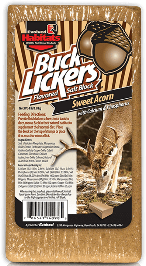 Buck Lickers Sweet Acorn