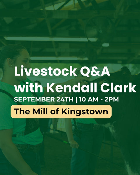 Promotional graphic for a Livestock Q&A event with Kendall Clark, featuring large white text over a green-tinted photo of a person in a barn holding a livestock lead.